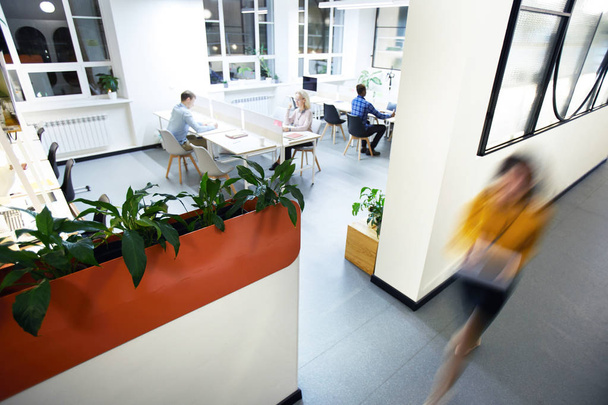 Moderne zakenmensen werken in modern bedrijf: ze zitten op bureaus in verlichte kantoor, defocused dame haasten om te voldoen aan - Foto, afbeelding