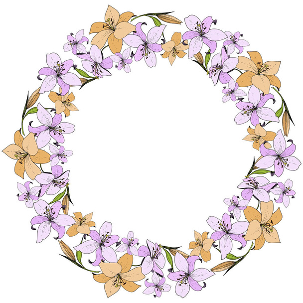 Vector Lily floral botanical flower. Wild spring leaf wildflower. Engraved ink art. Frame border ornament square. - Vector, Image