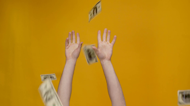 cropped view of man grabbing falling dollar banknotes isolated on yellow - Imágenes, Vídeo