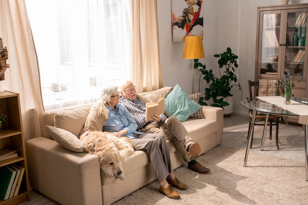 Retrato de ângulo largo de casal sênior feliz com cão sentado no sofá juntos e desfrutando de aposentadoria, espaço de cópia
 - Foto, Imagem