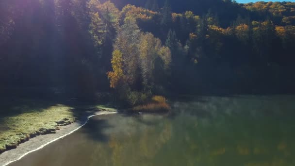 Εναέρια φθινοπωρινή θέα πάνω από το πολύχρωμο δάσος, στην Τρανσυλβανία - Πλάνα, βίντεο