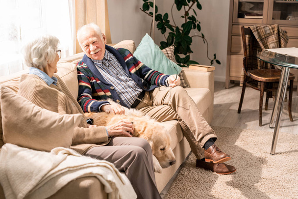 Portrait of happy senior couple with dog sitting on couch together and enjoying retirement, copy space - Fotoğraf, Görsel