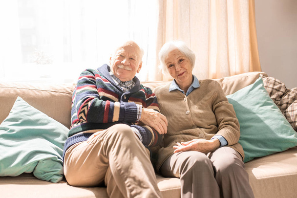 Retrato de pareja adulta amorosa posando juntos sonriendo a la cámara mientras están sentados en el sofá en casa iluminados por la luz del sol, espacio para copiar
 - Foto, imagen