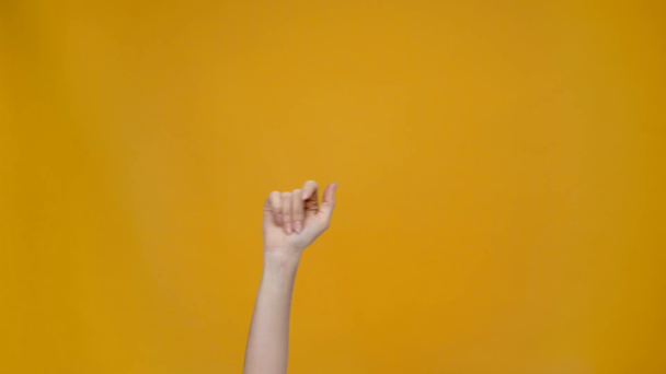 oříznutý pohled ženy ukazující sem gesto a ukazoval prstem, izolované na žluté - Záběry, video