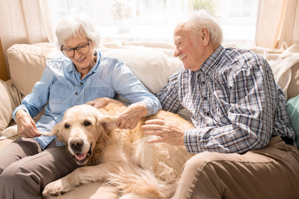 Portret van gelukkig Senior paar met hond zittend op de Bank genieten van familie weekend thuis in pensioen - Foto, afbeelding