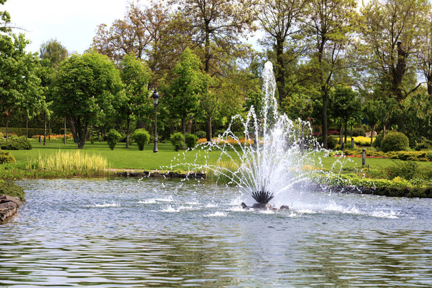 Fonte bonita no meio de uma lagoa da mola no fundo de um parque pitoresco da cidade
 - Foto, Imagem