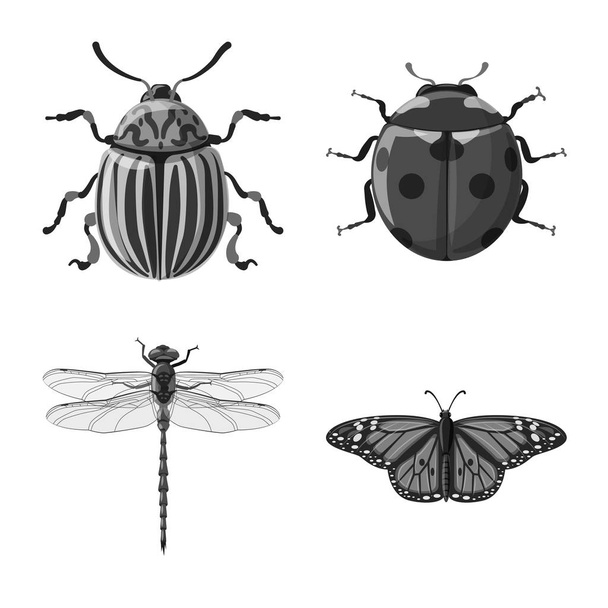 Isolated object of insect and fly logo. Collection of insect and element stock symbol for web. - Vektori, kuva