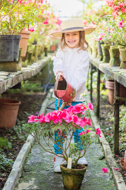 Little girl helps watering plants and gardening in greenhouse - Fotografie, Obrázek