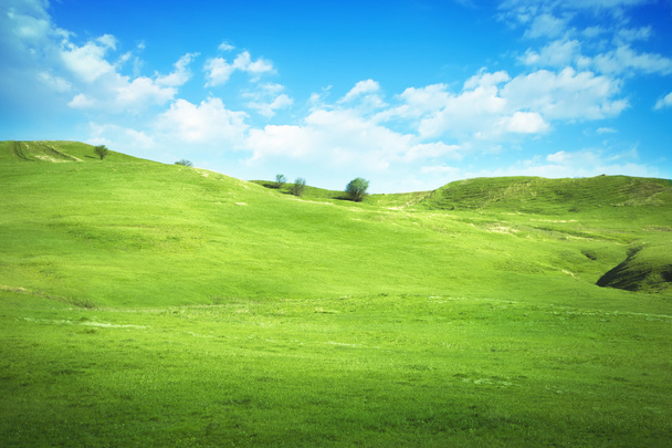 grasveld en perfecte blauwe lucht - Foto, afbeelding