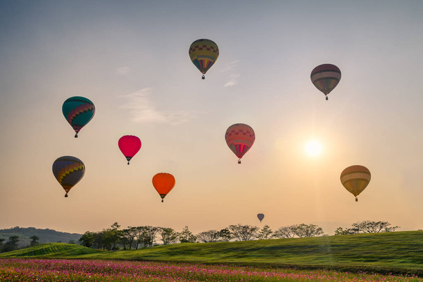 コスモス畑にカラフルな熱気球 - 写真・画像