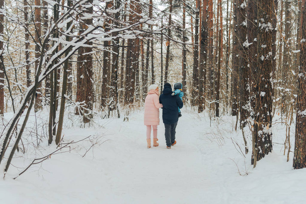 Caminar en familia con un niño. Los paseos familiares en la naturaleza en invierno. Paseo familiar de invierno en la naturaleza. Mucha nieve.
. - Foto, Imagen