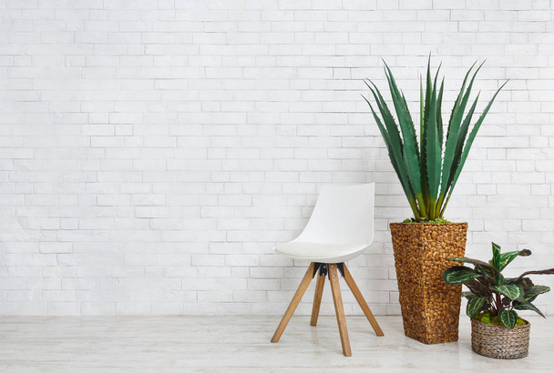 Accueil plantes et chaise sur fond blanc, espace de copie
 - Photo, image