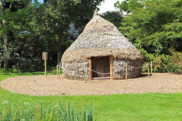 Традиційні полінезійські хатину в парку - Фото, зображення