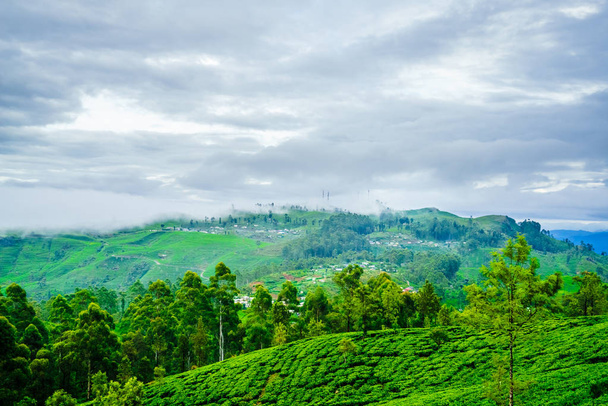 Vista sobre el té Plantación desde Lipton Seat al lado de Haputale, Sri Lanka
 - Foto, Imagen