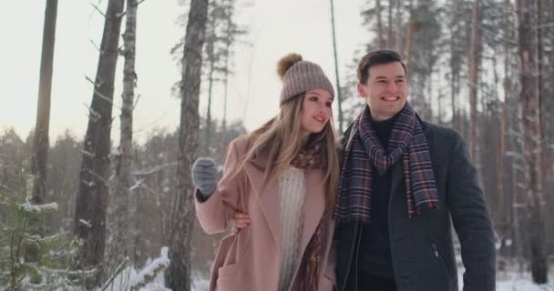 Im winterlich verschneiten Wald spazieren und amüsieren sich junge Männer und Frauen in Mänteln und Schals. Liebespaar verbringt gemeinsamen Valentinstag. - Filmmaterial, Video