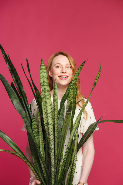Smiling blonde holding flower sansevieria on pink background - Foto, immagini
