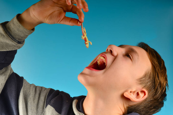 Мальчик кладет в рот маленькую красную ящерицу на синем фоне в студии
 - Фото, изображение