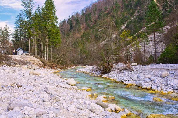 The small river in a Triglav National Park - 写真・画像