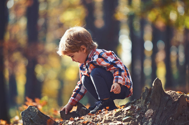 Autumn vacation and camping. Activity and active rest for kid. Child play on fresh air outdoor. Little prince in fairy tale woods. Small boy play in autumn forest - 写真・画像