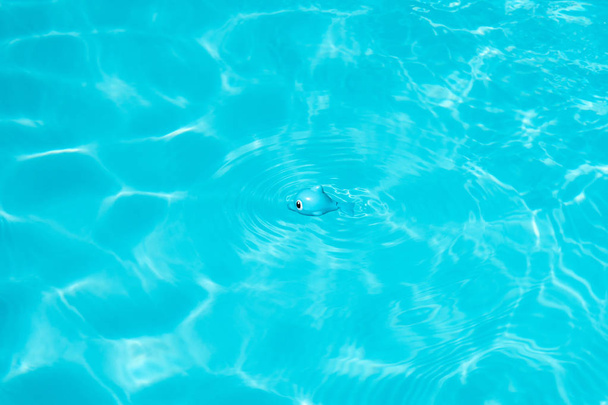 Yüzme kavramı. Yüzme Havuzu oyuncak balık - Fotoğraf, Görsel