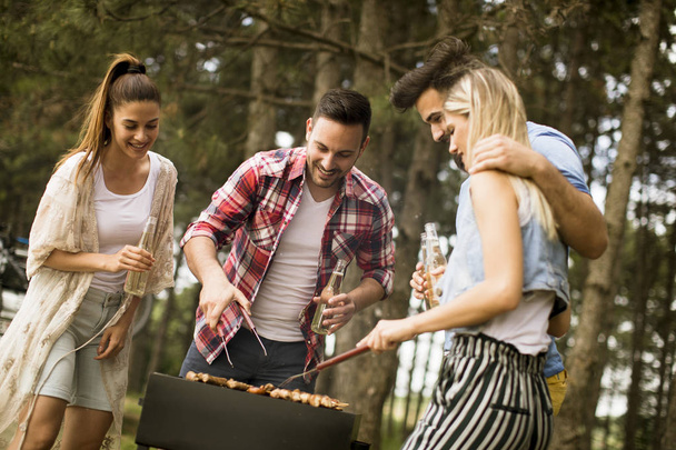 Ryhmä nuoria nauttimassa grillijuhlista luonnossa
 - Valokuva, kuva