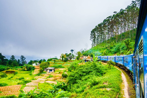 Train near Ella, running through tea fields. Sri Lanka  - Foto, afbeelding