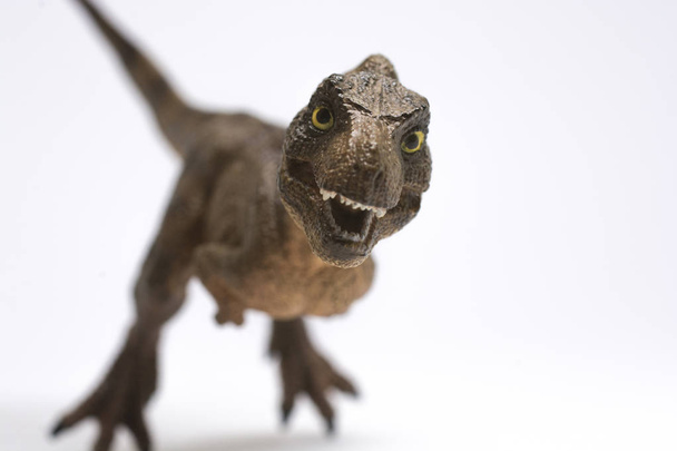 Малыш тираннозавр Рекс изолирован на белом фоне
 - Фото, изображение
