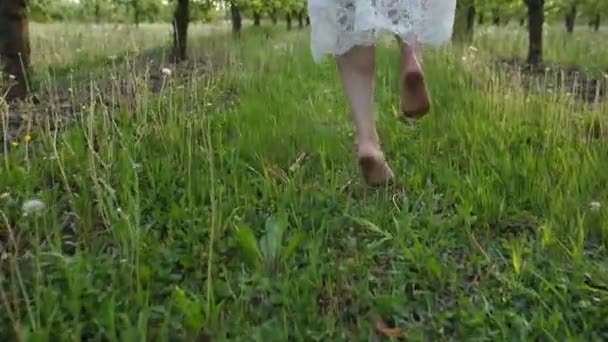 春の果樹園で実行している裸足の女性足 - 映像、動画
