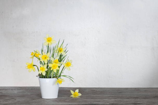 yellow narcissus in vase on old wooden wall - Foto, Imagem