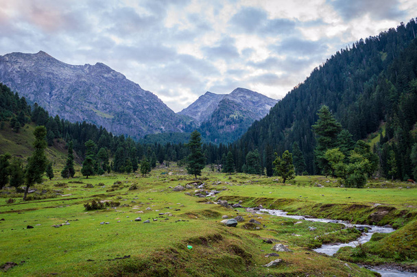 A táj, az előtérben, és egy kis patak, átfolyik a rét egy rét a kasmíri Himalája - Fotó, kép