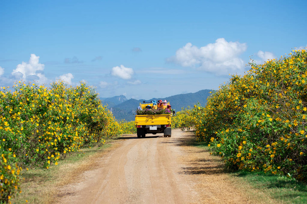 Sarı kamyon ve Bahçe işçi. - Fotoğraf, Görsel