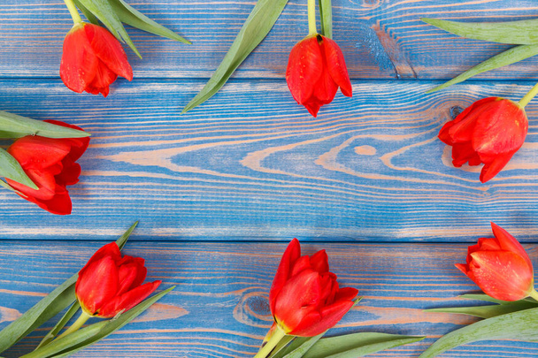 Frame of tulips for birthday or other celebration on blue boards, copy space for text - Photo, image
