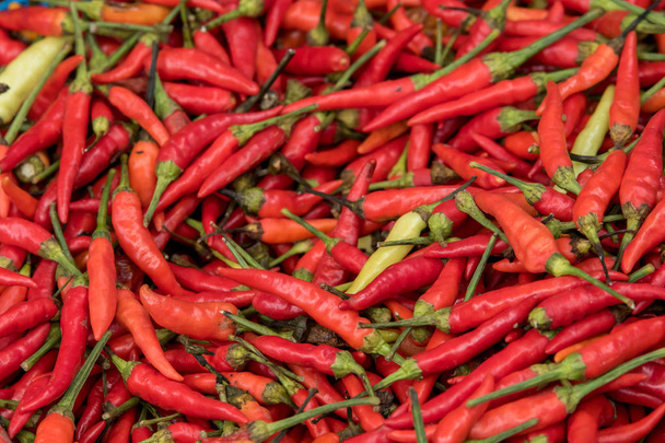 top View of Fresh Red Hot Chili for Sale in the fresh market - Photo, Image