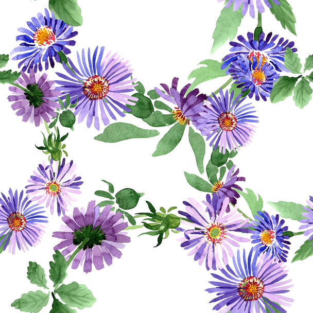 Blue violet asters floral botanical flowers. Watercolor background illustration set. Seamless background pattern. - Foto, Bild