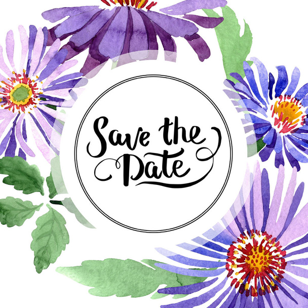 Blauwe violet asters floral botanische bloem. Aquarel achtergrond afbeelding instellen. Frame grens ornament vierkant. - Foto, afbeelding