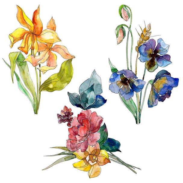 Bouquet de fleurs sauvages fleurs botaniques florales. Ensemble de fond aquarelle. Elément d'illustration de fleurs sauvages isolées
. - Photo, image