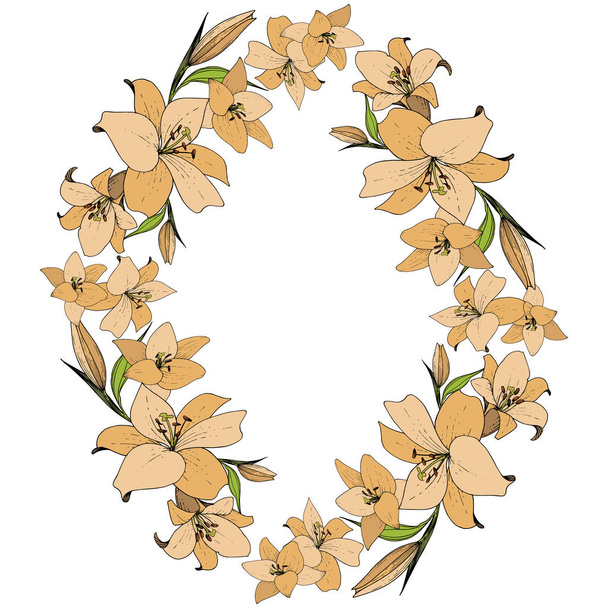 Vector Lily floral botanical flower. Wild spring leaf wildflower. Engraved ink art. Frame border ornament square. - Вектор, зображення
