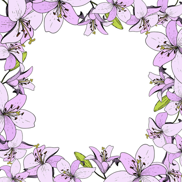 Vector Lily floral botanical flower. Wild spring leaf wildflower. Engraved ink art. Frame border ornament square. - Vektor, Bild