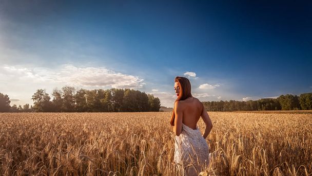 Jeune femme séduisante sur le champ d'été. Photo de femme brune posant, se relaxant sur la nature, regardant timidement. Concept d'été. Voyages vacances
. - Photo, image