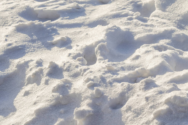 luminen maisema talvi lunta taustana
 - Valokuva, kuva