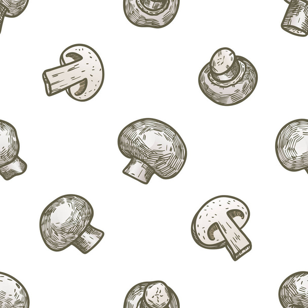 Seamless vector pattern Hand drawn illustration sketch style champignon mushroom composition. Farm fresh background. Doodle healthy food Funny wallpaper for textile and fabric - Vector, Image