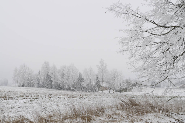 Snowy countryside krajobraz - zima - Zdjęcie, obraz