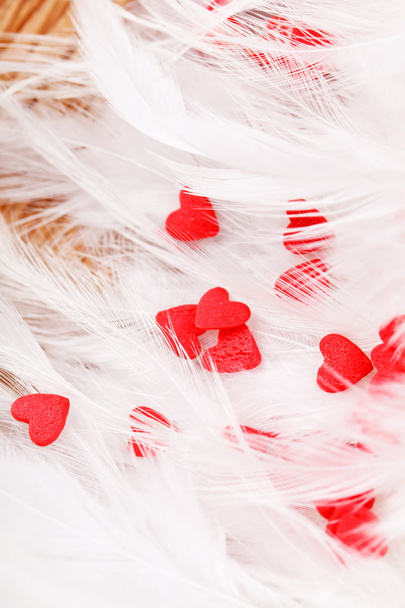 Red hearts on the feather - Zdjęcie, obraz