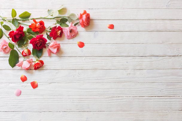roses on white wooden background - Foto, Imagem