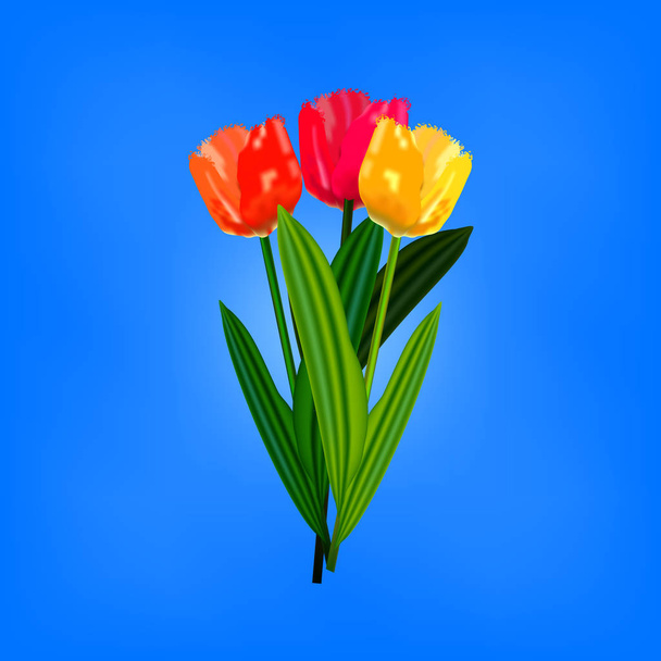 カラフルなチューリップの花 - ベクター画像