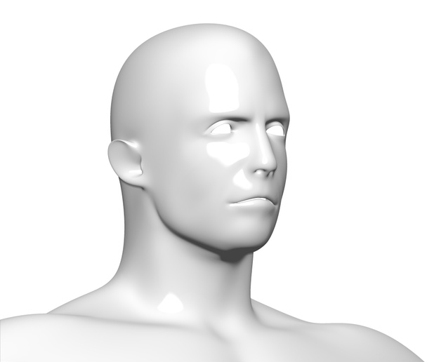 Face head anatomy - Photo, Image