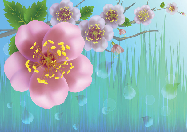 Jarní růžové květy jabloní s padající okvětní lístky na pozadí svěží zelené trávy - Vektor, obrázek