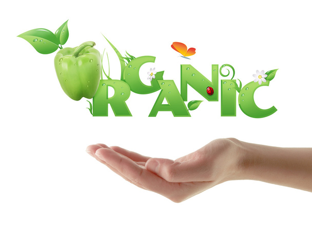 Mano que sostiene la palabra "orgánico" diseño ecológico
 - Foto, imagen