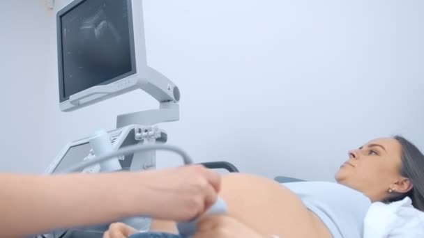 Беременная женщина смотрит на ультразвуковое сканирование ребенка с доктором. Врач провел обследование ребенка на УЗИ
 - Кадры, видео