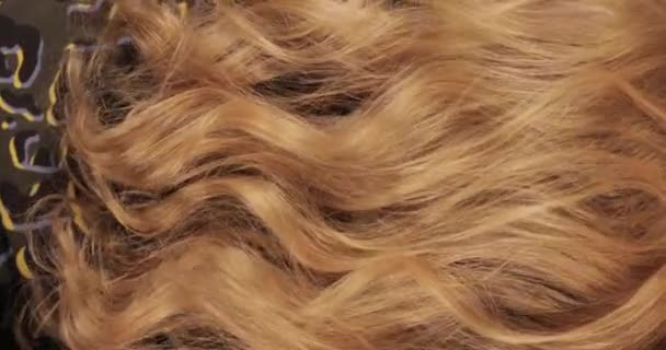 ゆっくり動く巻き毛の大きな白い赤い髪 - 映像、動画